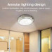 Ceiling light with solar panel