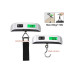 Traveler luggage scale