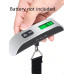 Traveler luggage scale